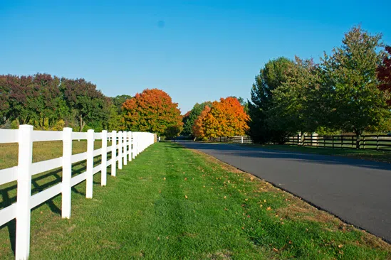 Colts Neck