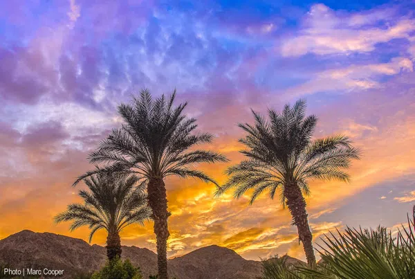 La Quinta